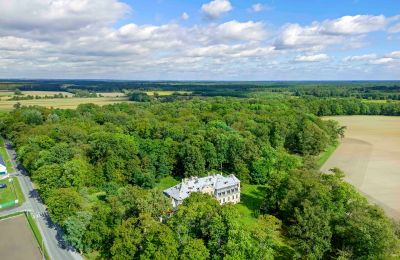 Castle for sale Minkowskie, Minkowskie  69, Opole Voivodeship, Image 40/43