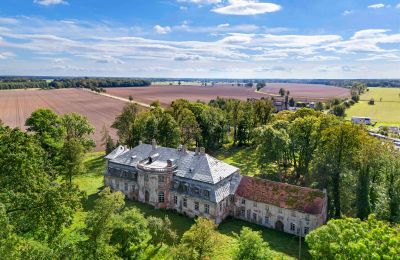 Castle for sale Minkowskie, Minkowskie  69, Opole Voivodeship, Image 5/43