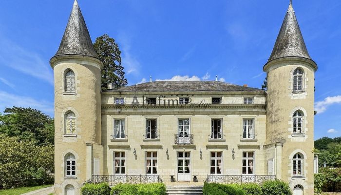 Castle for sale Centre-Loire Valley,  France