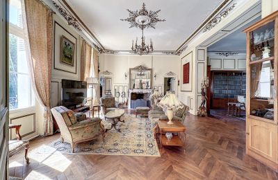 Castle for sale Centre-Loire Valley, Image 6/24