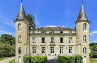 Castle for sale Centre-Loire Valley, Front view