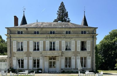 Castle for sale Centre-Loire Valley, Back view