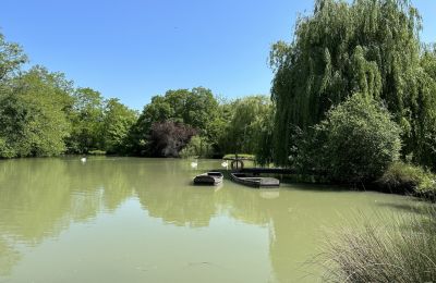 Castle for sale Centre-Loire Valley, Lake