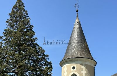 Castle for sale Centre-Loire Valley, Details