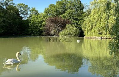 Castle for sale Centre-Loire Valley, Image 21/24