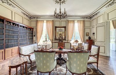 Castle for sale Centre-Loire Valley, Library