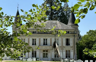 Castle for sale Centre-Loire Valley, Back view