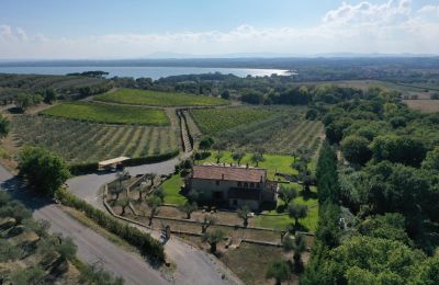 Farmhouse for sale 06069 Tuoro sul Trasimeno, Umbria, Image 2/23