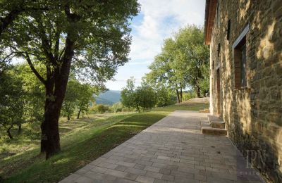 Farmhouse for sale 06029 Valfabbrica, Umbria, Image 18/49