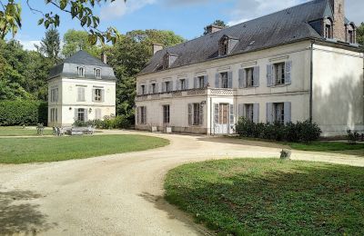 Castle for sale Bourgogne-Franche-Comté, Back view