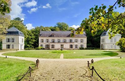 Character properties, Superb château in Yonne region, 150 km south of Paris