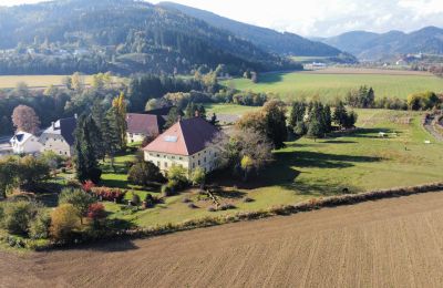 Manor House for sale Carinthia, Drone view