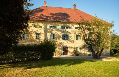 Manor House for sale Carinthia, Front view