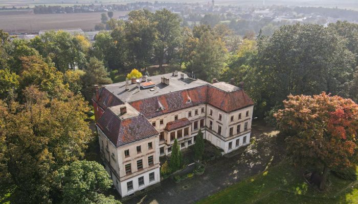 Castle for sale Wojnowice, Silesian Voivodeship,  Poland