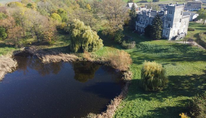 Castle Górki Dąbskie 3