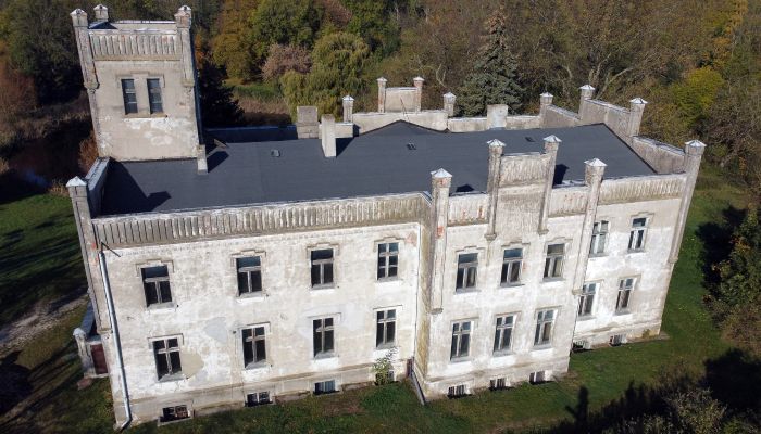 Castle Górki Dąbskie 4