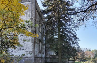 Castle for sale Górki Dąbskie, Pałac w Górkach Dąbskich, Kuyavian-Pomeranian Voivodeship, Image 13/22