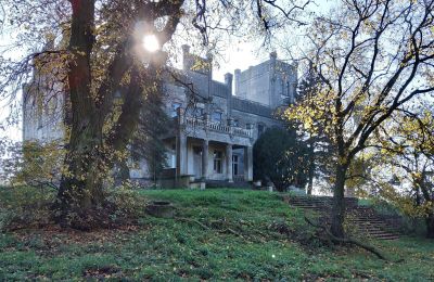 Castle for sale Górki Dąbskie, Pałac w Górkach Dąbskich, Kuyavian-Pomeranian Voivodeship, Image 14/22