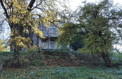 Castle for sale Górki Dąbskie, Pałac w Górkach Dąbskich, Kuyavian-Pomeranian Voivodeship, Image 15/22