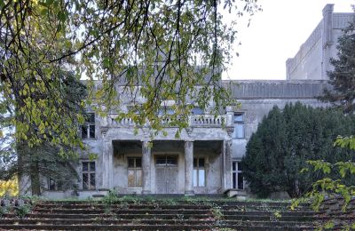 Castle for sale Górki Dąbskie, Pałac w Górkach Dąbskich, Kuyavian-Pomeranian Voivodeship, Image 17/22