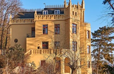 Historic Villa for sale Gera, Thuringia, Außenansicht vom Süden