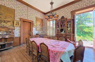 Manor House for sale Nestier, Occitania, Image 5/28