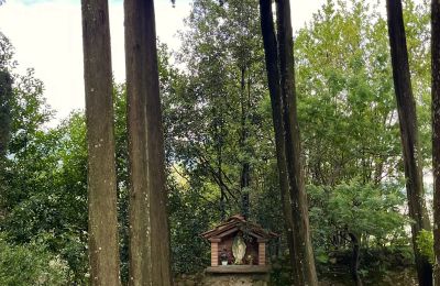 Monastery for sale Pescia, Tuscany, Image 30/47