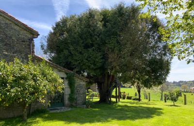 Farmhouse for sale Melide, Cabazás, Galicia, Terraza y jardín