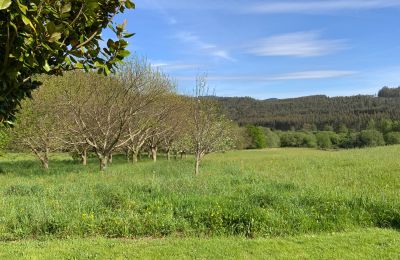 Farmhouse for sale Moeche, Sta Cruz de Moeche, Galicia, Property