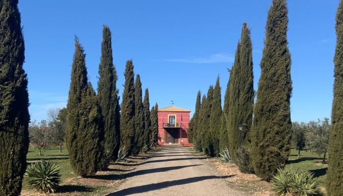 Farmhouse Almagro 2