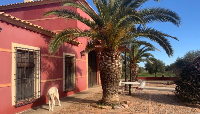 Farmhouse Almagro 3