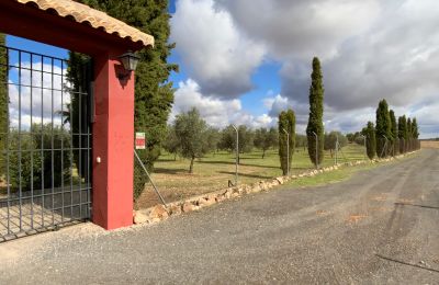 Farmhouse for sale Almagro, Almagro, Castile-La Mancha, Access