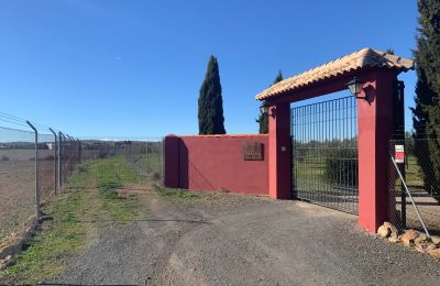 Farmhouse for sale Almagro, Almagro, Castile-La Mancha, Entrada