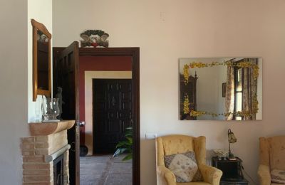 Farmhouse for sale Almagro, Almagro, Castile-La Mancha, Salon