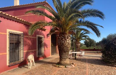 Farmhouse for sale Almagro, Almagro, Castile-La Mancha, Fachada