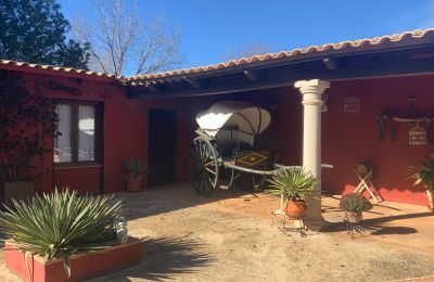 Farmhouse for sale Almagro, Almagro, Castile-La Mancha, Patio y carruaje