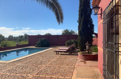 Farmhouse for sale Almagro, Almagro, Castile-La Mancha, Piscina y solarium