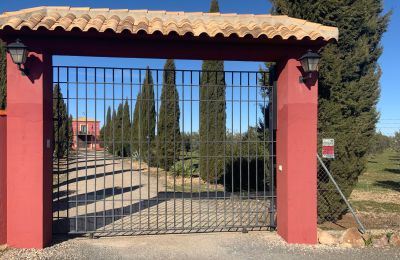 Farmhouse for sale Almagro, Almagro, Castile-La Mancha, Entrance