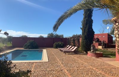 Farmhouse for sale Almagro, Almagro, Castile-La Mancha, Piscina y solarium