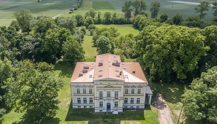 Castle for sale Karszew, Greater Poland Voivodeship,  Poland