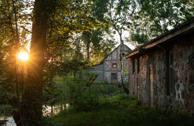 Manor House for sale Virķēni, Virķēnu muiža, Vidzeme, Image 8/23