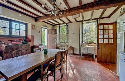 Historic property for sale Anères, Occitania, Image 10/34