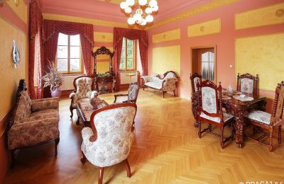 Castle for sale Czech Republic, Drawing room