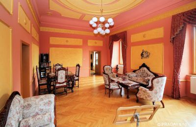 Castle for sale Czech Republic, Drawing room