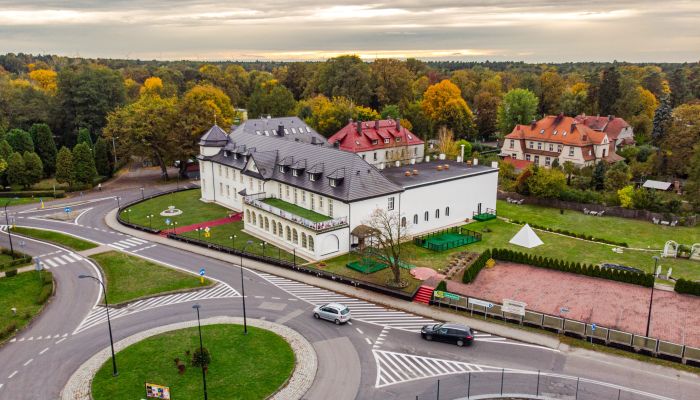 Castle for sale Krupski Młyn, Silesian Voivodeship,  Poland