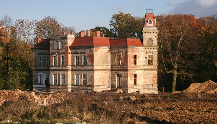 Manor House Pisarzowice 3