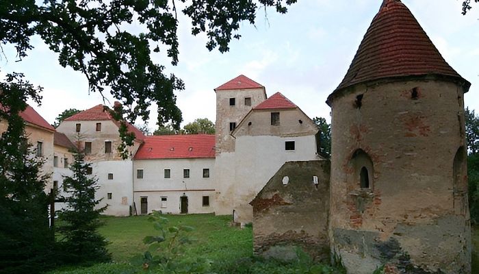 Medieval Castle Witostowice 2