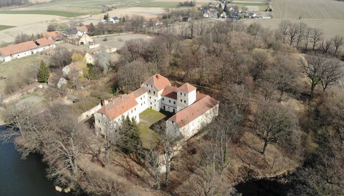 Medieval Castle Witostowice, Lower Silesian Voivodeship