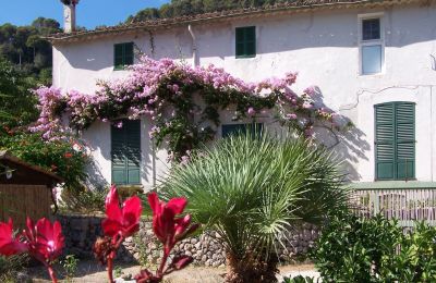 Country House for sale Sóller, Cami de Cas Carreter 5, Balearic Islands, Image 10/12