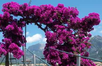 Country House for sale Sóller, Cami de Cas Carreter 5, Balearic Islands, Image 8/12